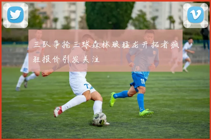 三队争抢三球森林狼猛龙开拓者疯狂报价引发关注